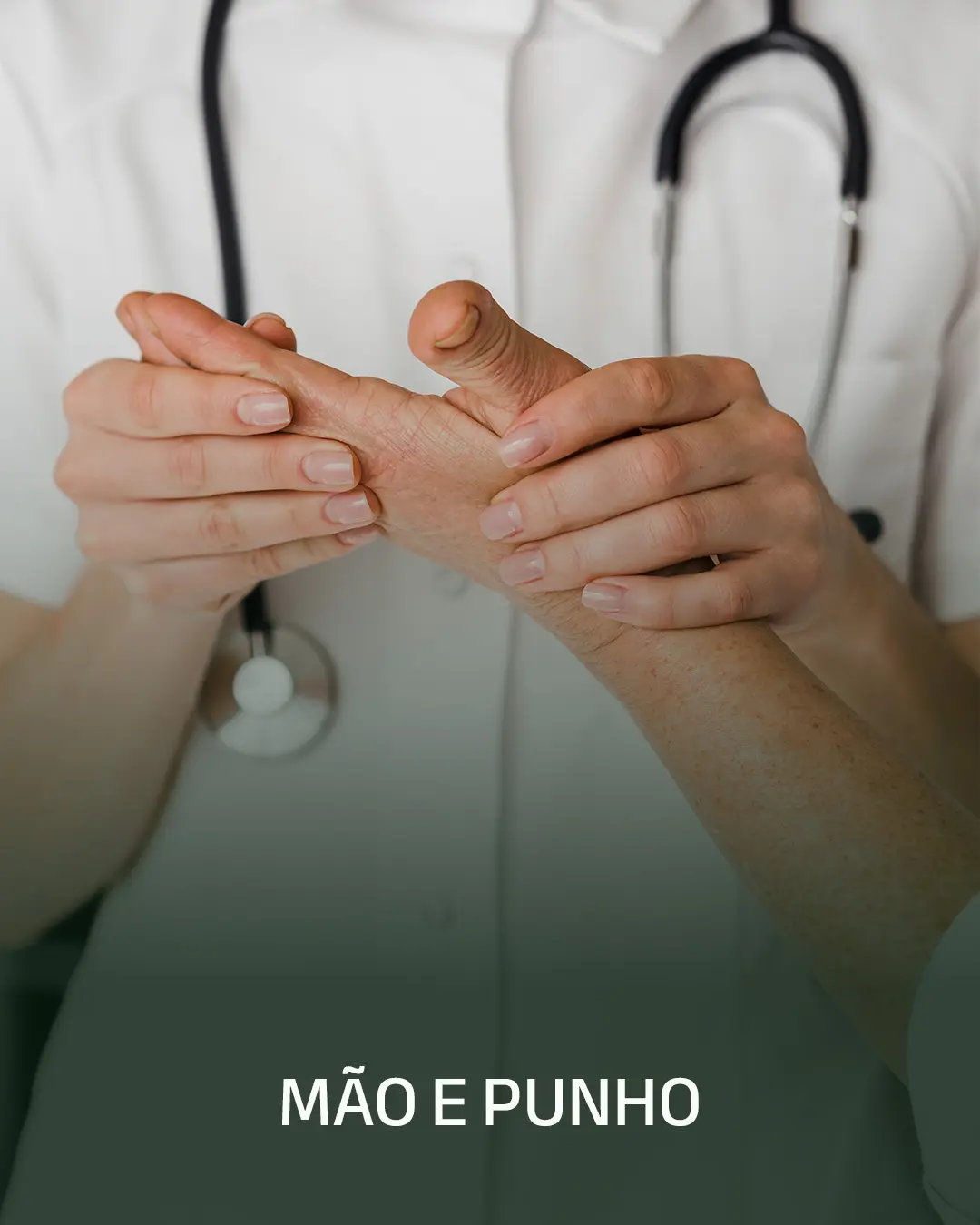 Mao-e-Punho.webp